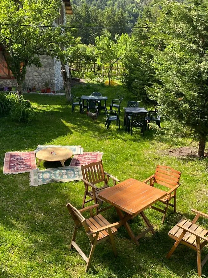 Guesthouse Demushi Valbona 0*,