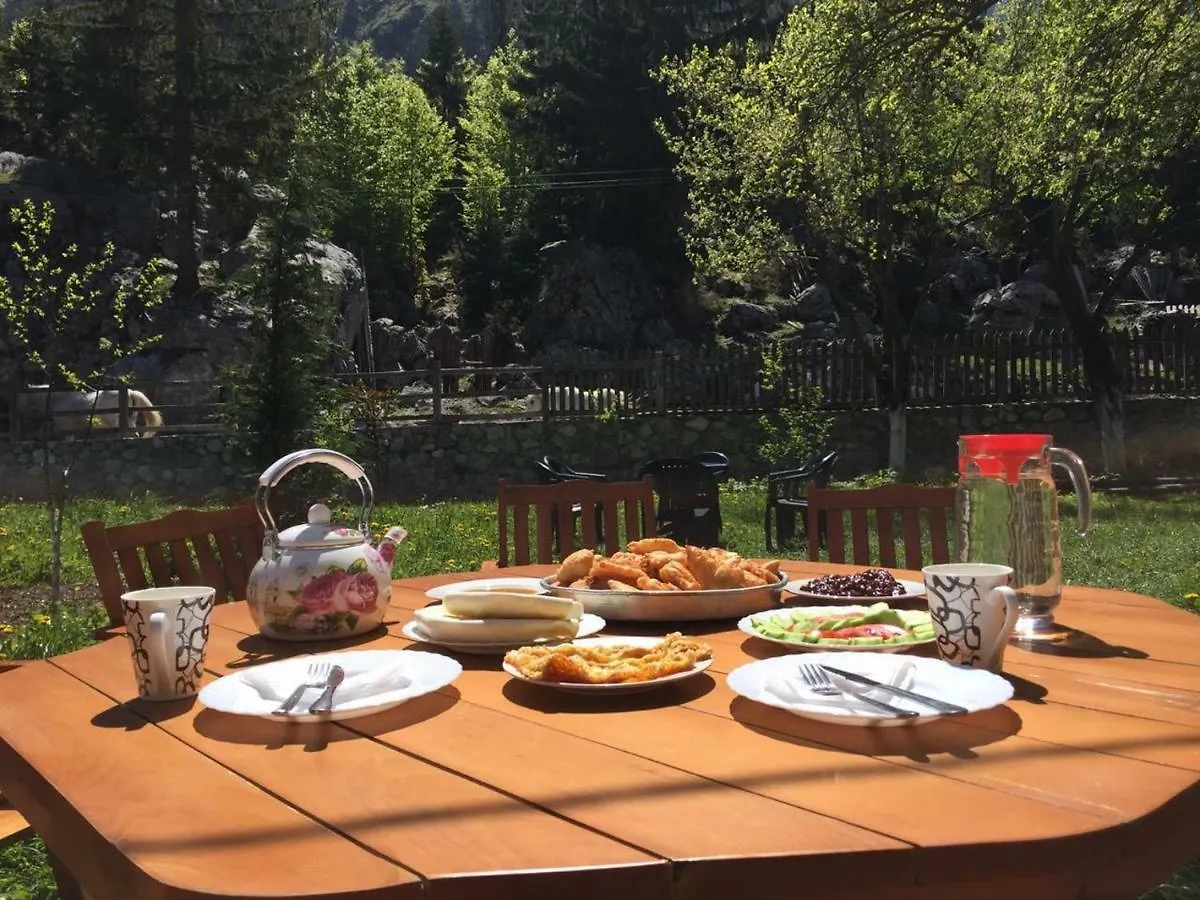 Guesthouse Demushi Valbona Albánia