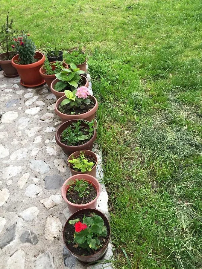 Guesthouse Demushi Valbona Vendégház
